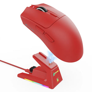 MOUSE