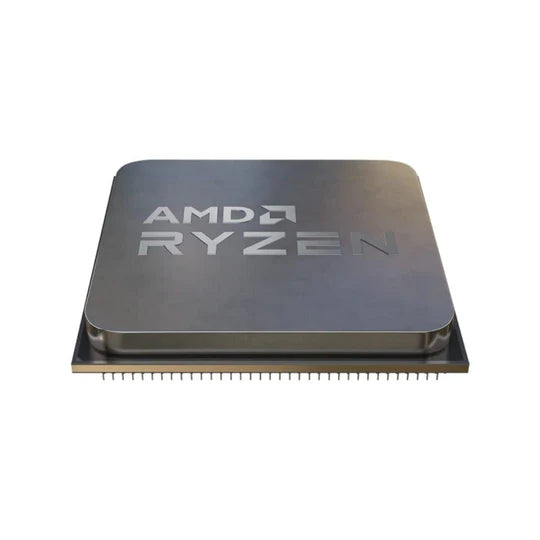 AMD RYZEN R5 5600X