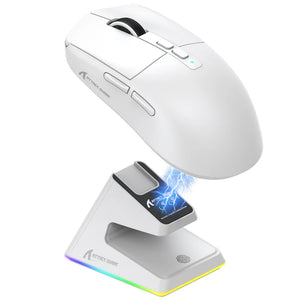 MOUSE