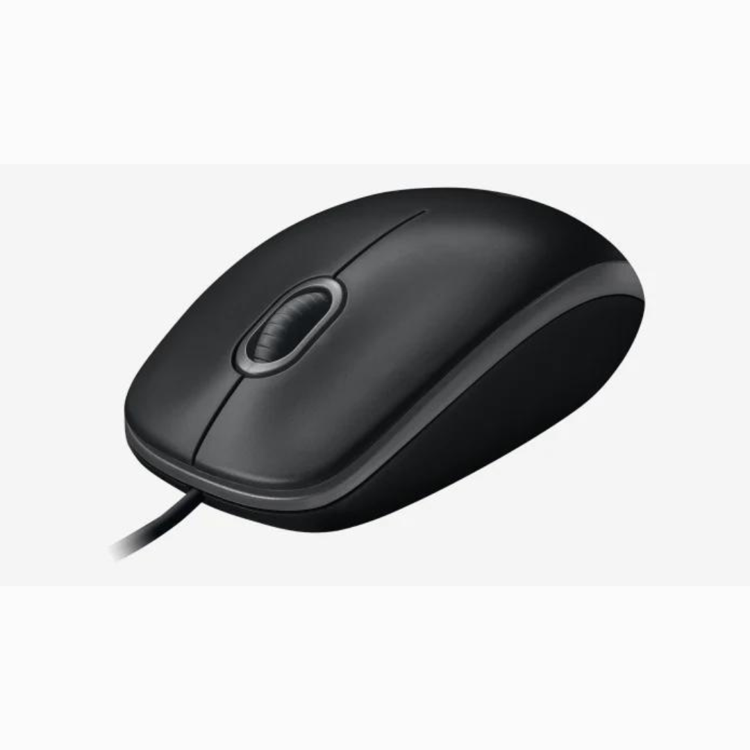 B100 Optical USB Mouse